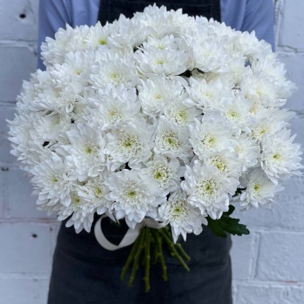 Белая кустовая хризантема - купить с доставкой в по Коряжме