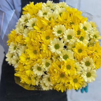 желтая кустовая хризантема - купить с доставкой в по Коряжме